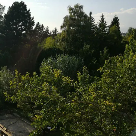 David Vendeghaz Gyenesdiás